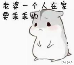 求生欲很强表情包,表情包中的生存智慧