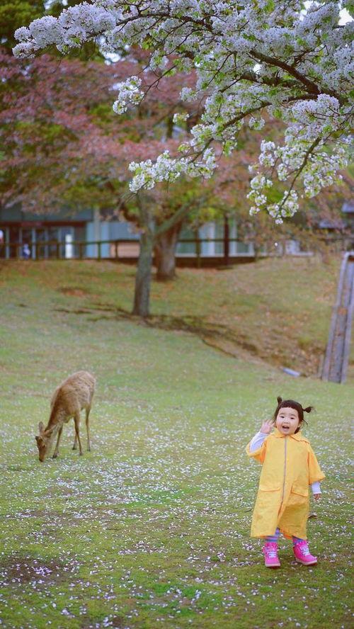 网红小蛮图片,网红风采尽显