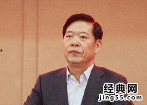 杨晖的资料,从行业新星到领军人物，探寻其成功之路