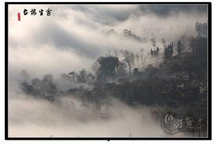 雾生  资料,揭开神秘雾气的神秘面纱