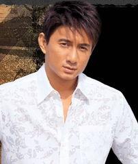 吴奇隆个人资料 老婆,揭秘他与爱妻的甜蜜人生